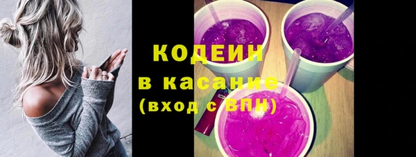 хмурый Арсеньев