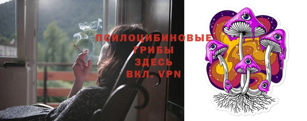 стафф Армянск