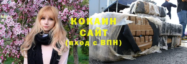 хмурый Арсеньев