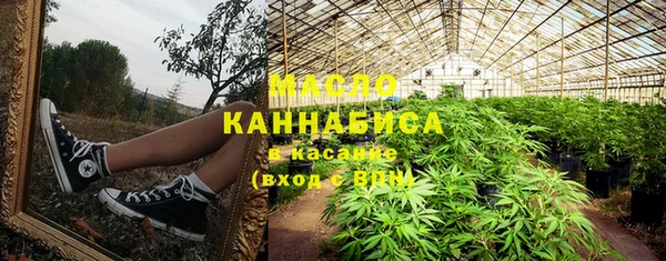 хмурый Арсеньев