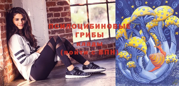 хмурый Арсеньев