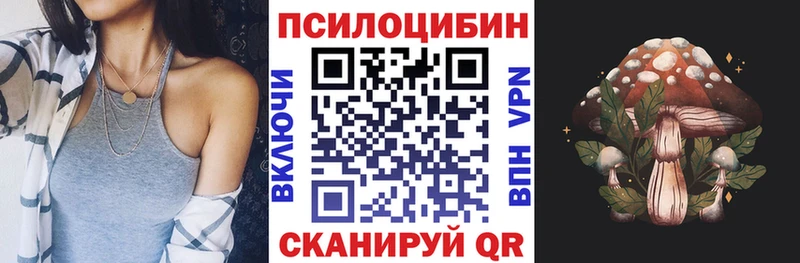 купить закладку  Медынь  Псилоцибиновые грибы Magic Shrooms 